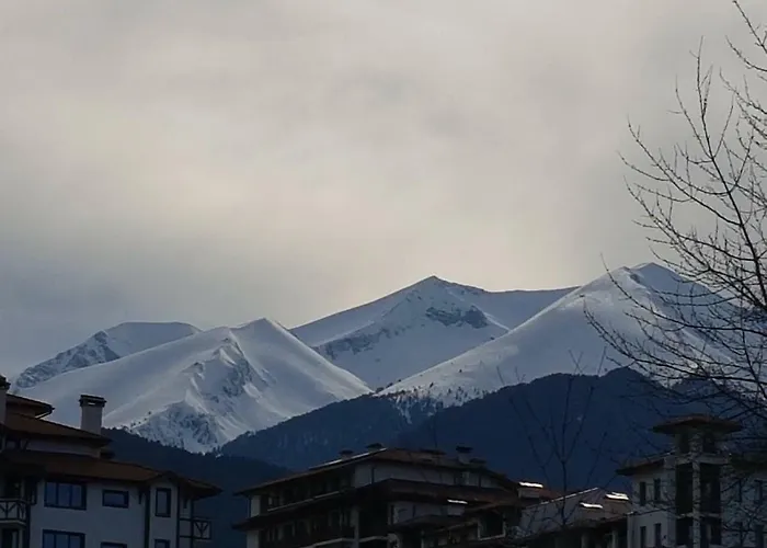 Royal Family Apartahotel 3*