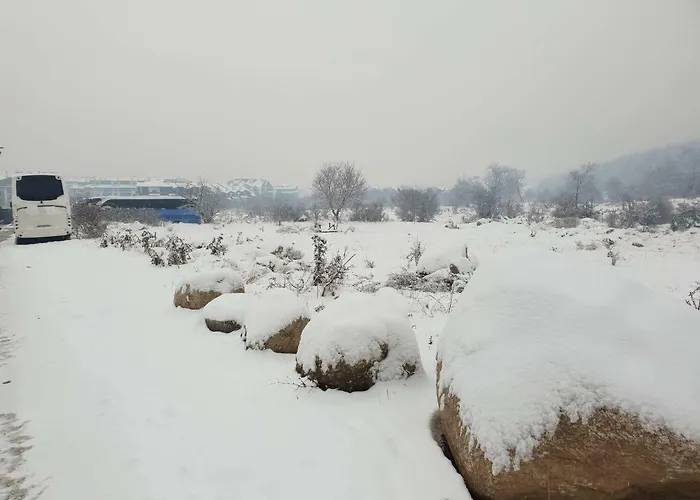 Apartahotel Royal Family